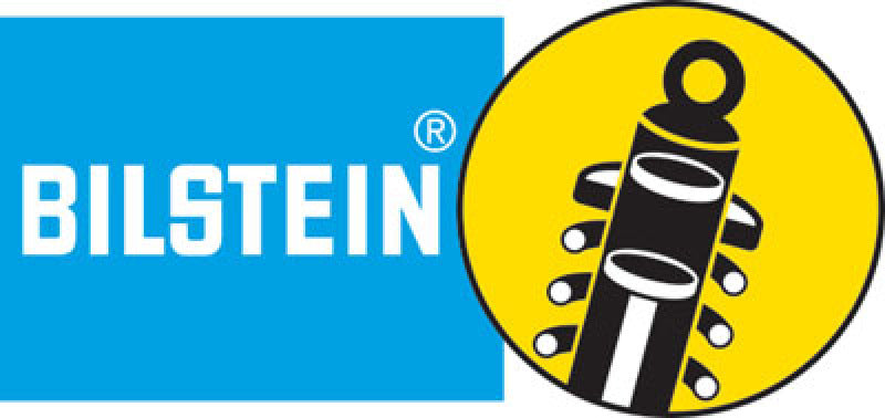 Bilstein Motorsport 10in. TRVL RSRVR SHK PLTD 275/78 46mm Monotube Shock Absorber